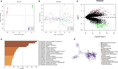 Novel Biomarker Genes for Prognosis of Survival and Treatment of Glioma